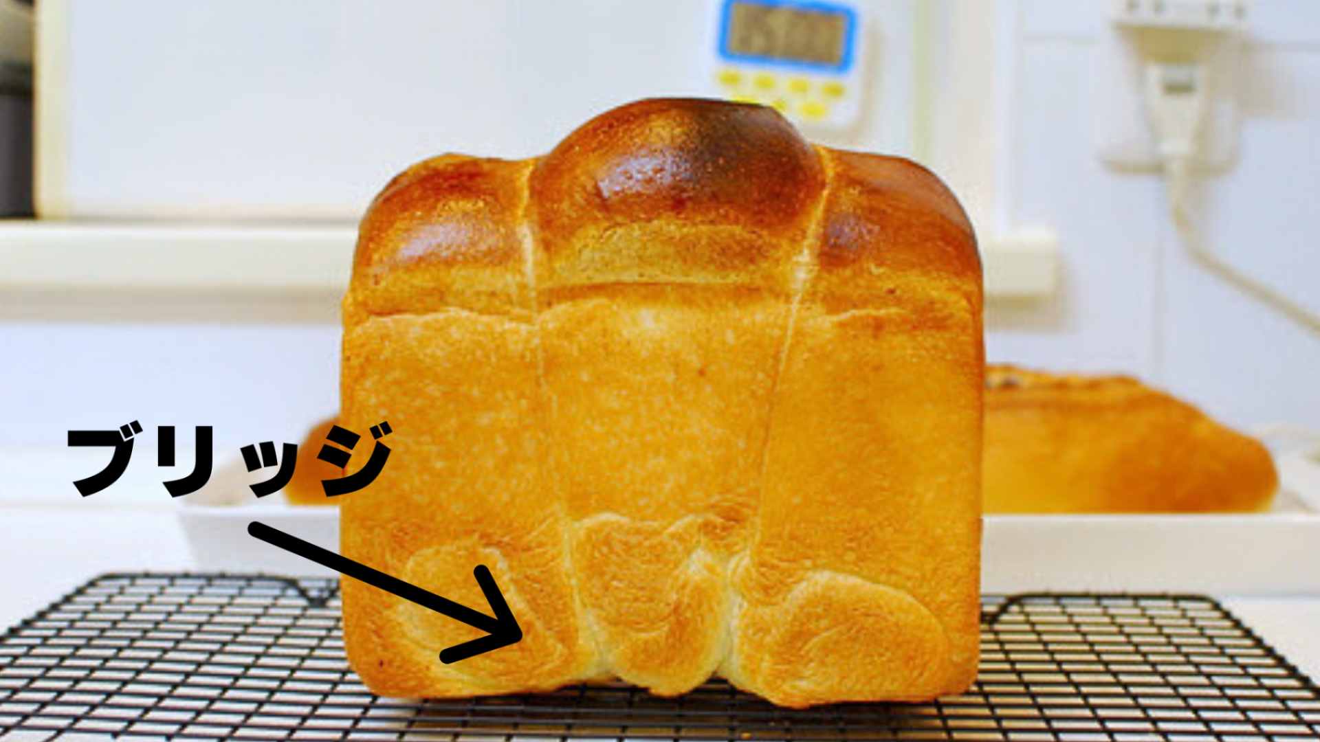 食パンの底が浮き上がる現象 | 毎日がパン